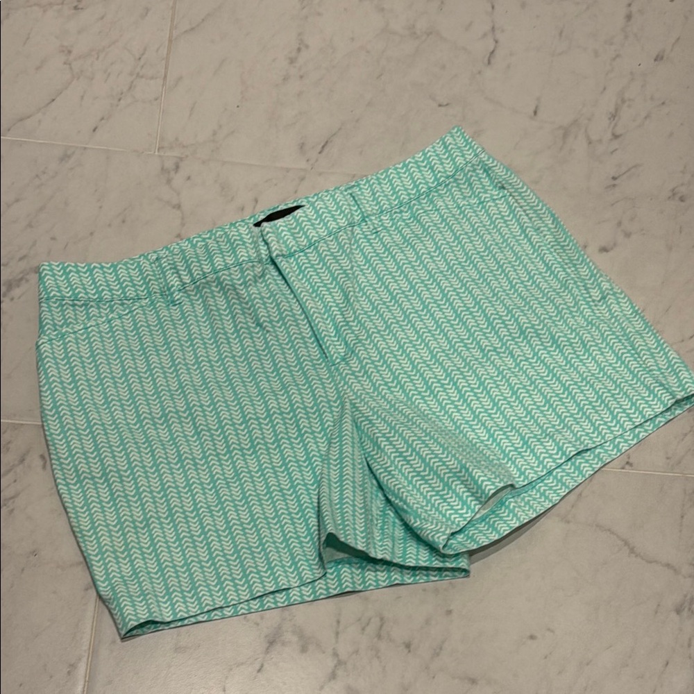 Turquoise Green Women's Shorts